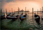 VENICE21 (7)